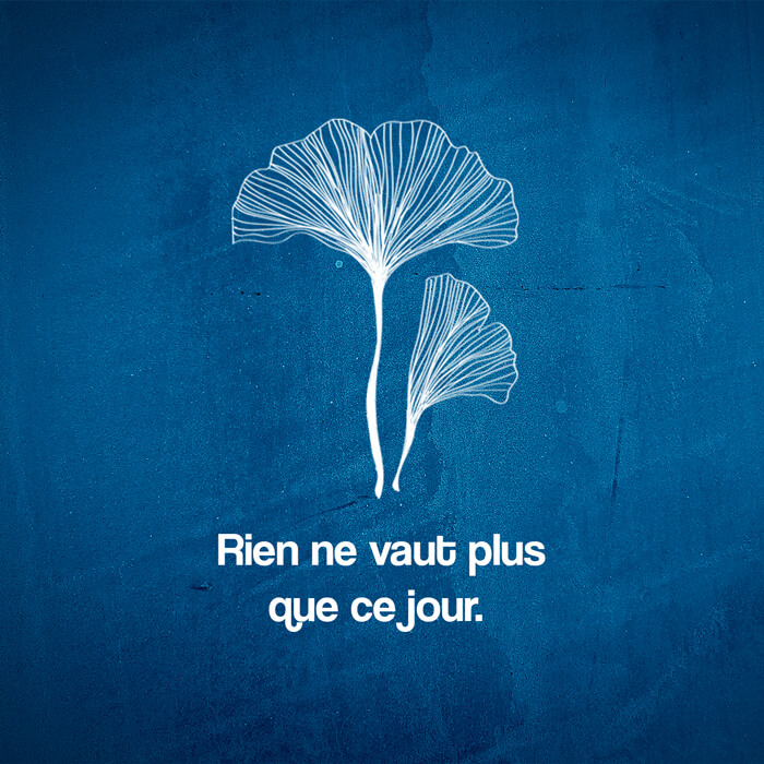 Illustration février